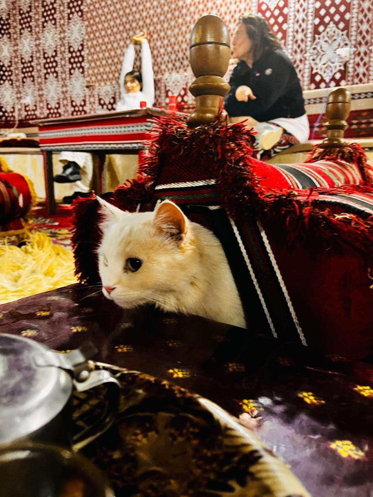 Waseem Luxury Camp Ram Vadisi Dış mekan fotoğraf